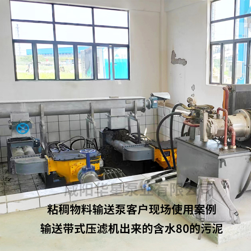 粘稠物料輸送泵客戶案例1 粘稠物料輸送泵客戶案例1