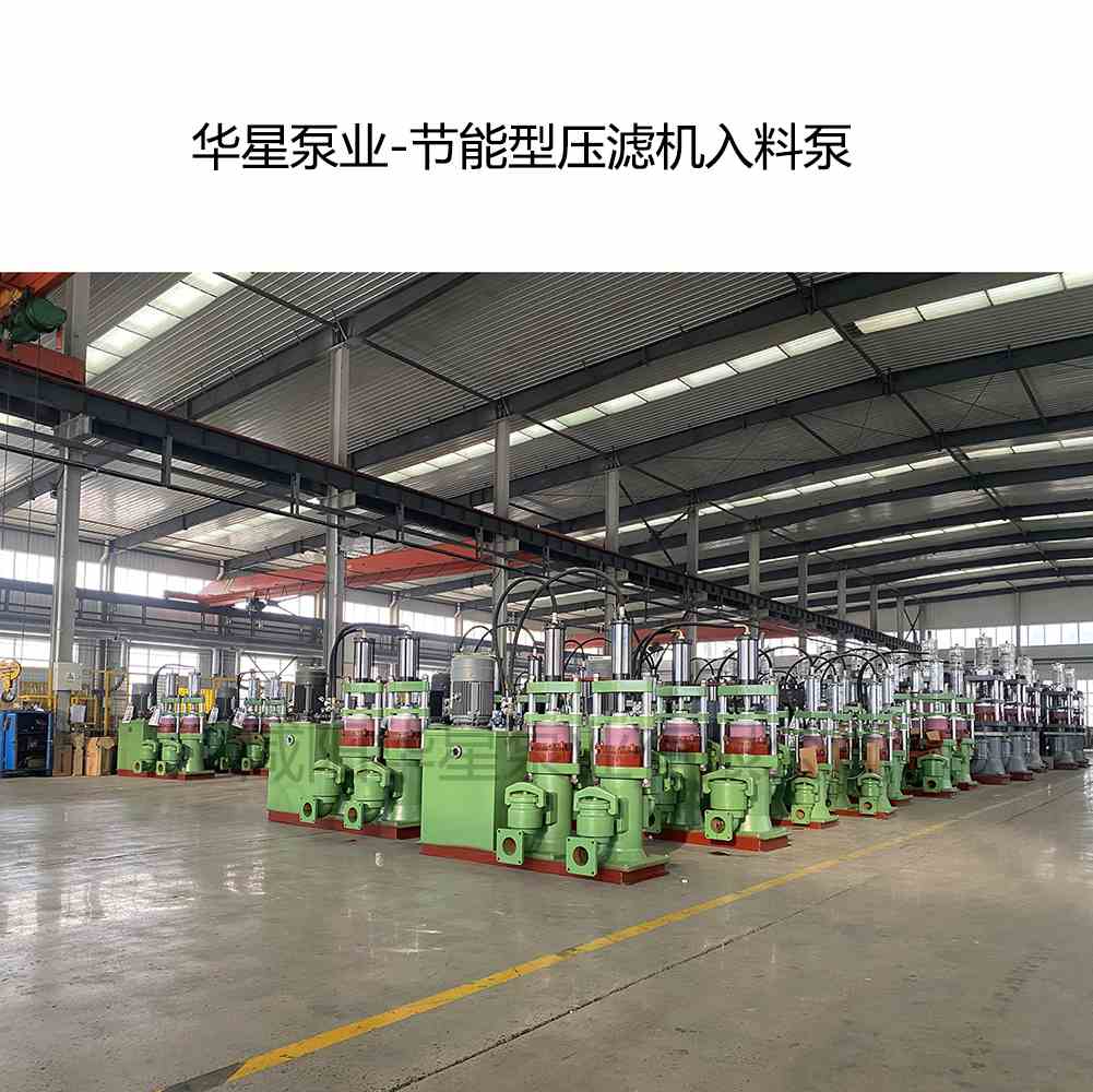 華星泵業-節能型壓濾機入料泵